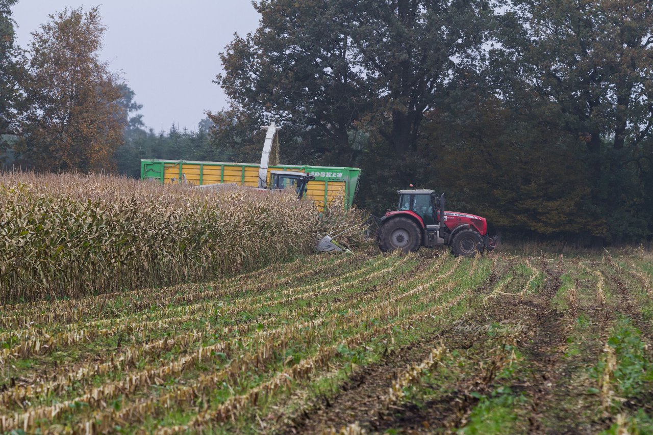 Bild 132 - Biogas am 21.10.12